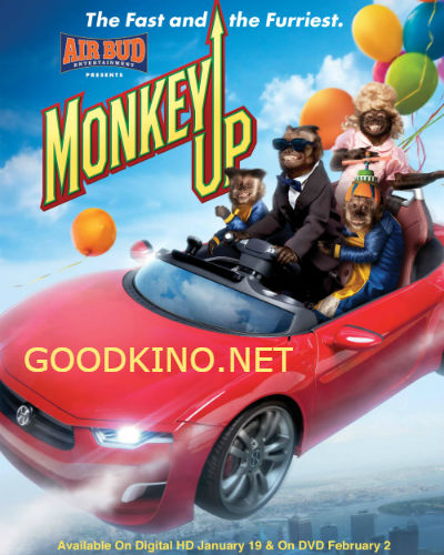 Миллионер Монти (2016)