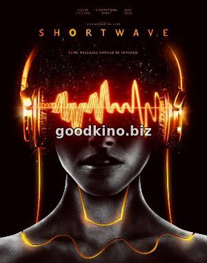 Короткая волна (2016)