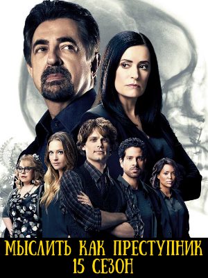 Мыслить как преступник 15 сезон