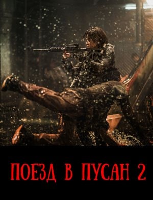 Поезд в Пусан 2