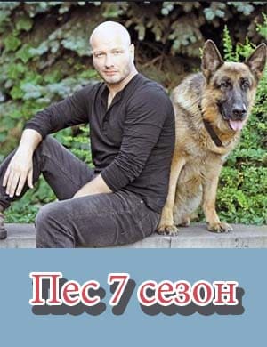 Пес 7 сезон