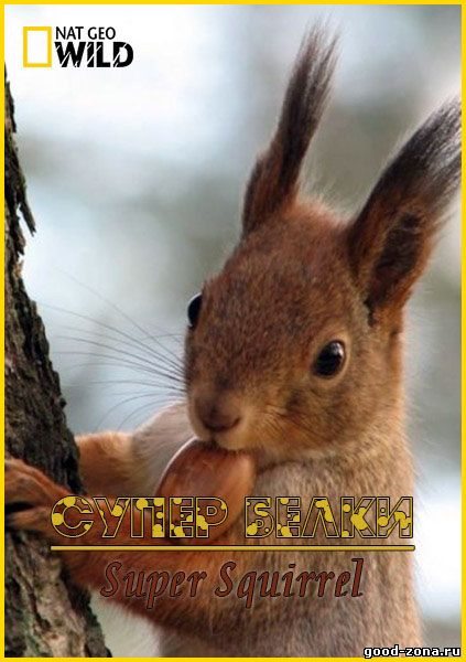 Супер белки (2014)