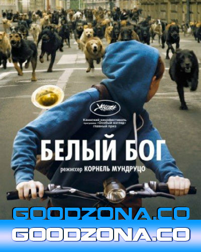 Белый бог (2014)