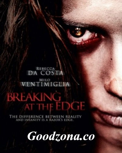 На грани безумия (2013)